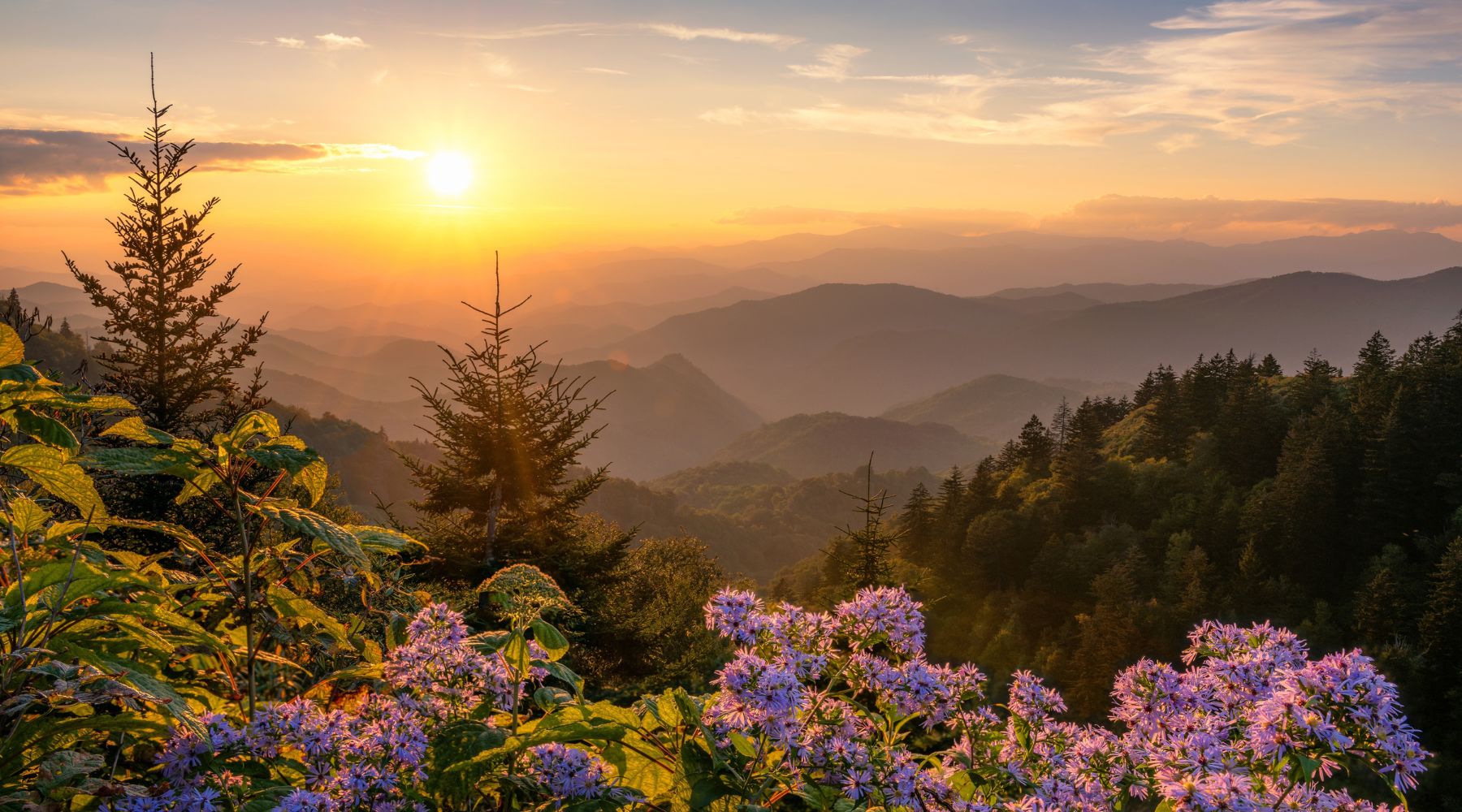 Description of image