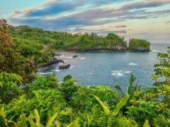 A beautiful secluded bay near Hilo, Hawaii, with lush tropical vegetation and picturesque scenery.