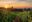 Willamette Valley Wine Region