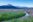 Wildflower Field in Oregon