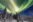 The scenery of beautiful aurora borealis in Fairbanks, Alaska