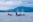 Three Orcas (Southern resident whales) with a Mountain backdrop