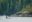 Orca in Johnstone Strait