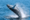 Whales Swimming and Jumping in Cape Cod