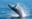 Whales Swimming and Jumping in Cape Cod