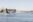 Float plane taxiing in Victoria Harbour BC