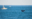 Whale fin in Boston harbor
