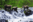 USA – Alaska – Inside Passage and Hubbard Glacier Itinerary – Chicagof Island AK264 – Michael S. Nolan v5