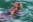 USA – Alaska – Inside Passage and Hubbard Glacier Itinerary – LEX-US Alaska AK535 – Michael S. Nolan v5