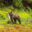 USA – Alaska – Inside Passage and Hubbard Glacier Itinerary – LEX-US Alaska Chicagof Island AK505 – Ralph Lee Hopkins v5