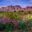 Organ Mountains, Las Cruces - New Mexico
