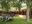 Outside garden area at El Pueblo Lodge
